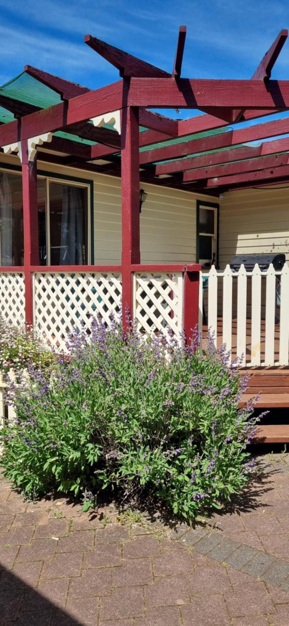 Belle Cottage Scottsdale Ngoại thất bức ảnh